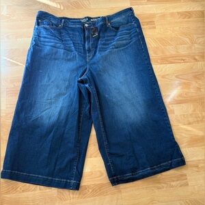Torrid High-Rise wide Leg ankle crop vintage stretch denim jeans Size 30 NWT